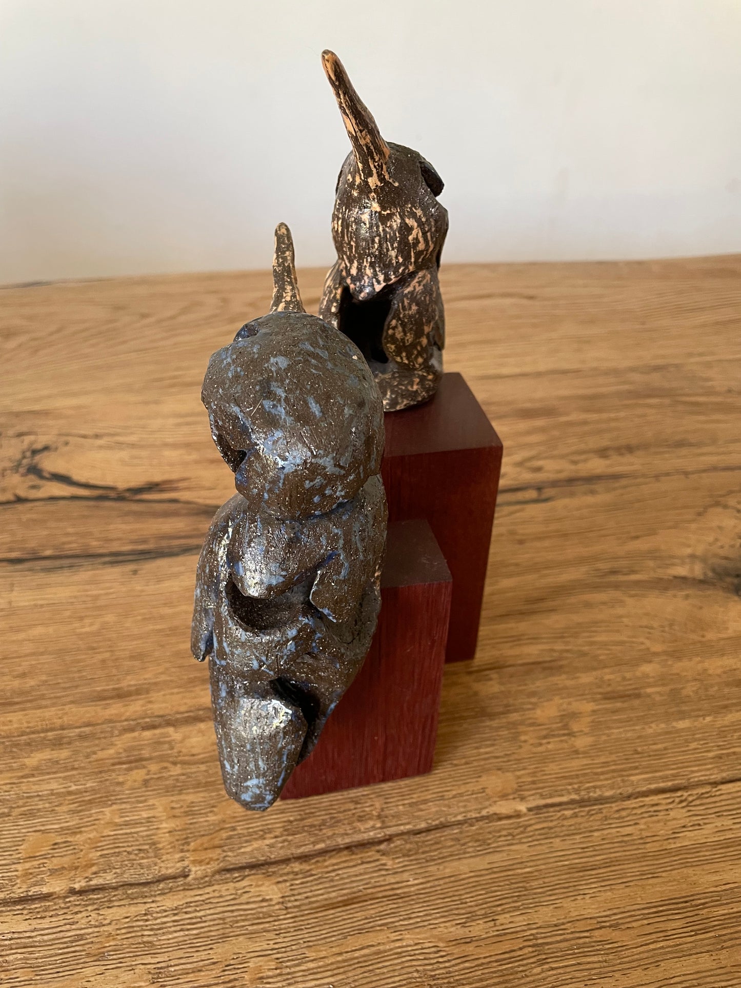IJsvogel duo