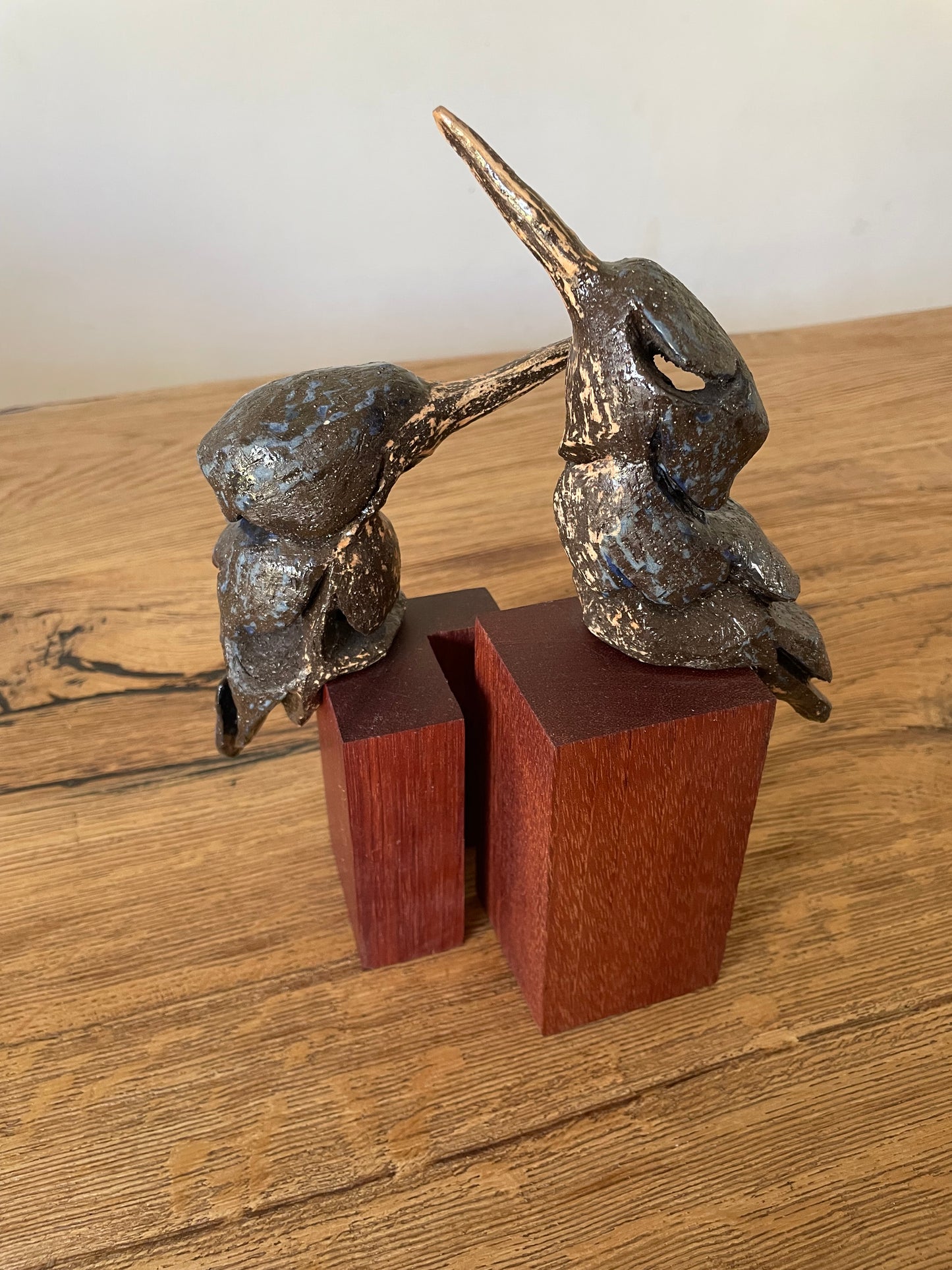 IJsvogel duo