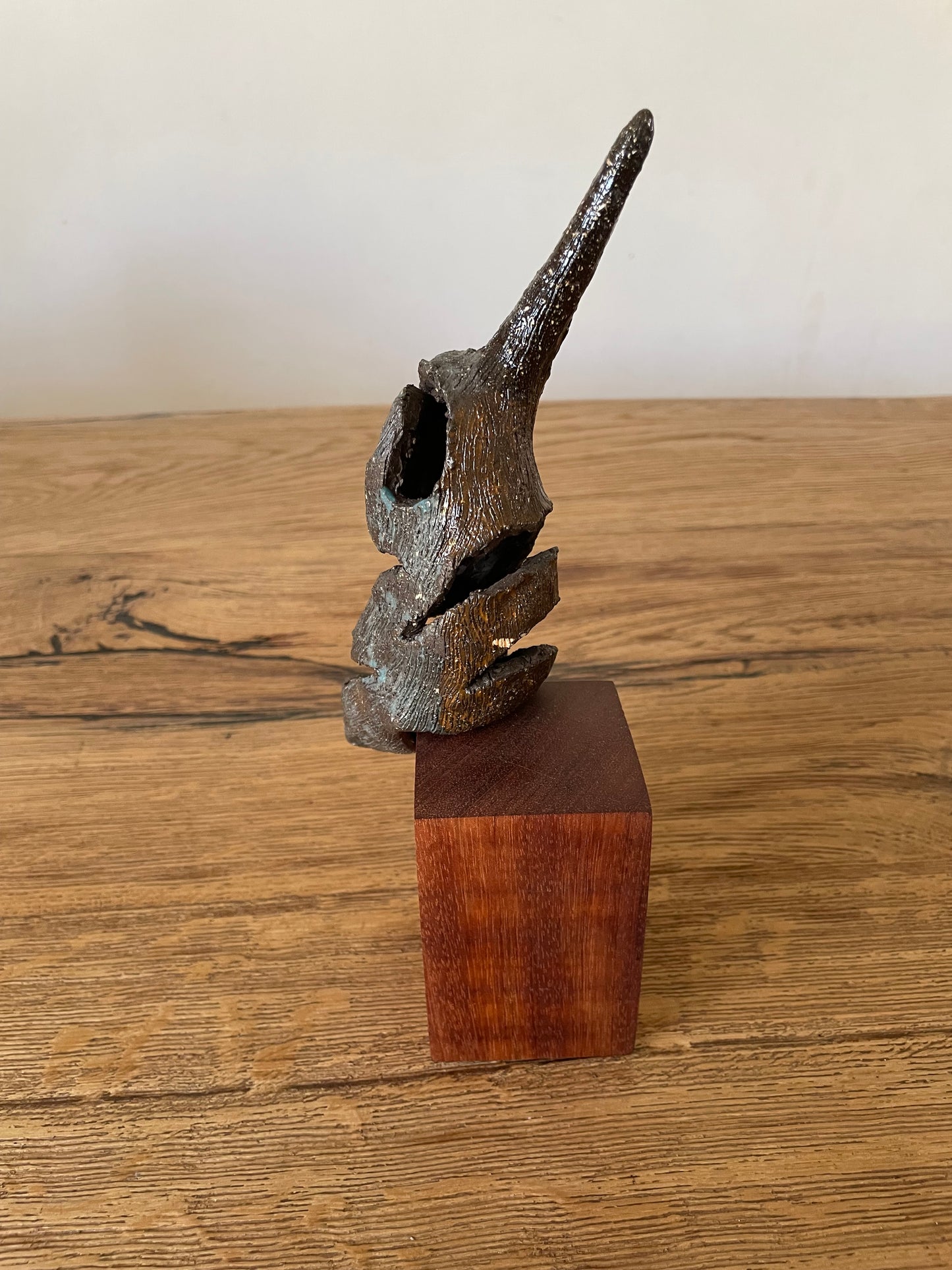 IJsvogel solo