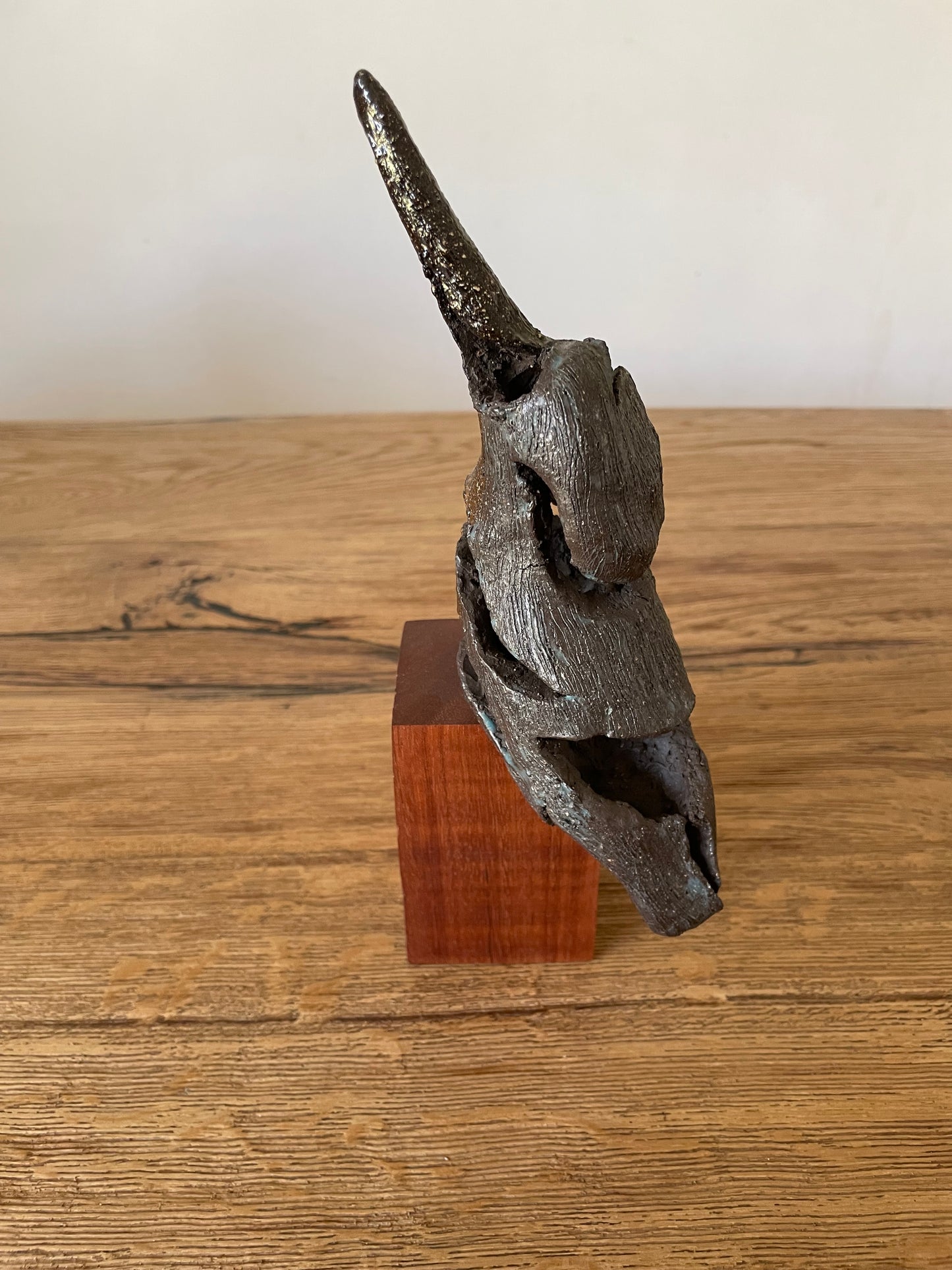 IJsvogel solo