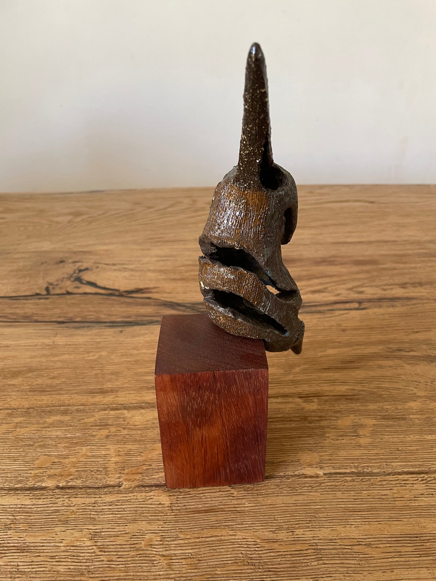 IJsvogel solo