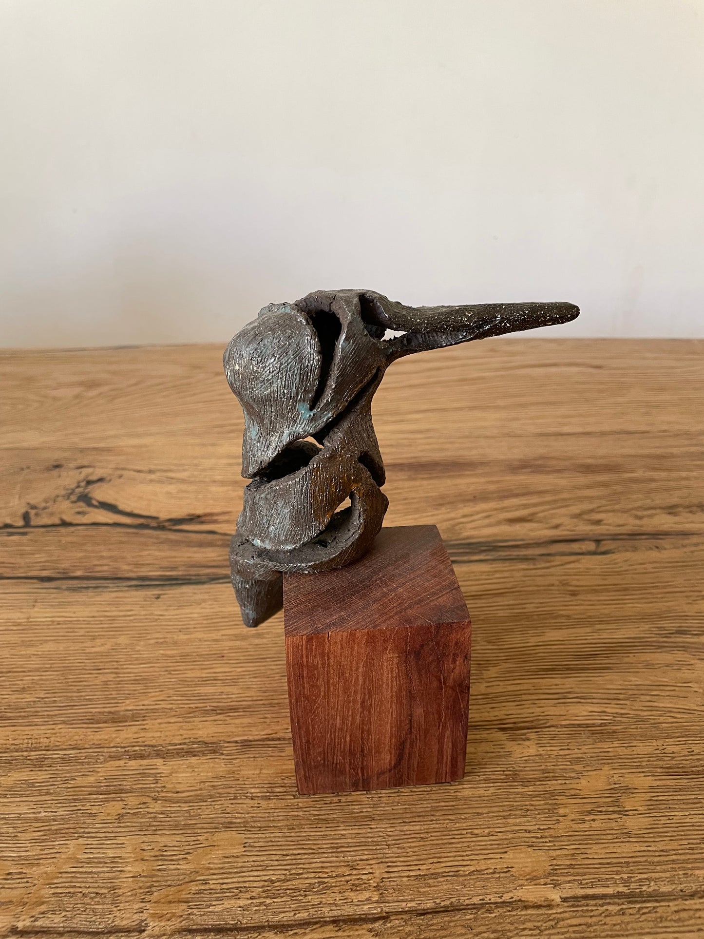 IJsvogel solo II