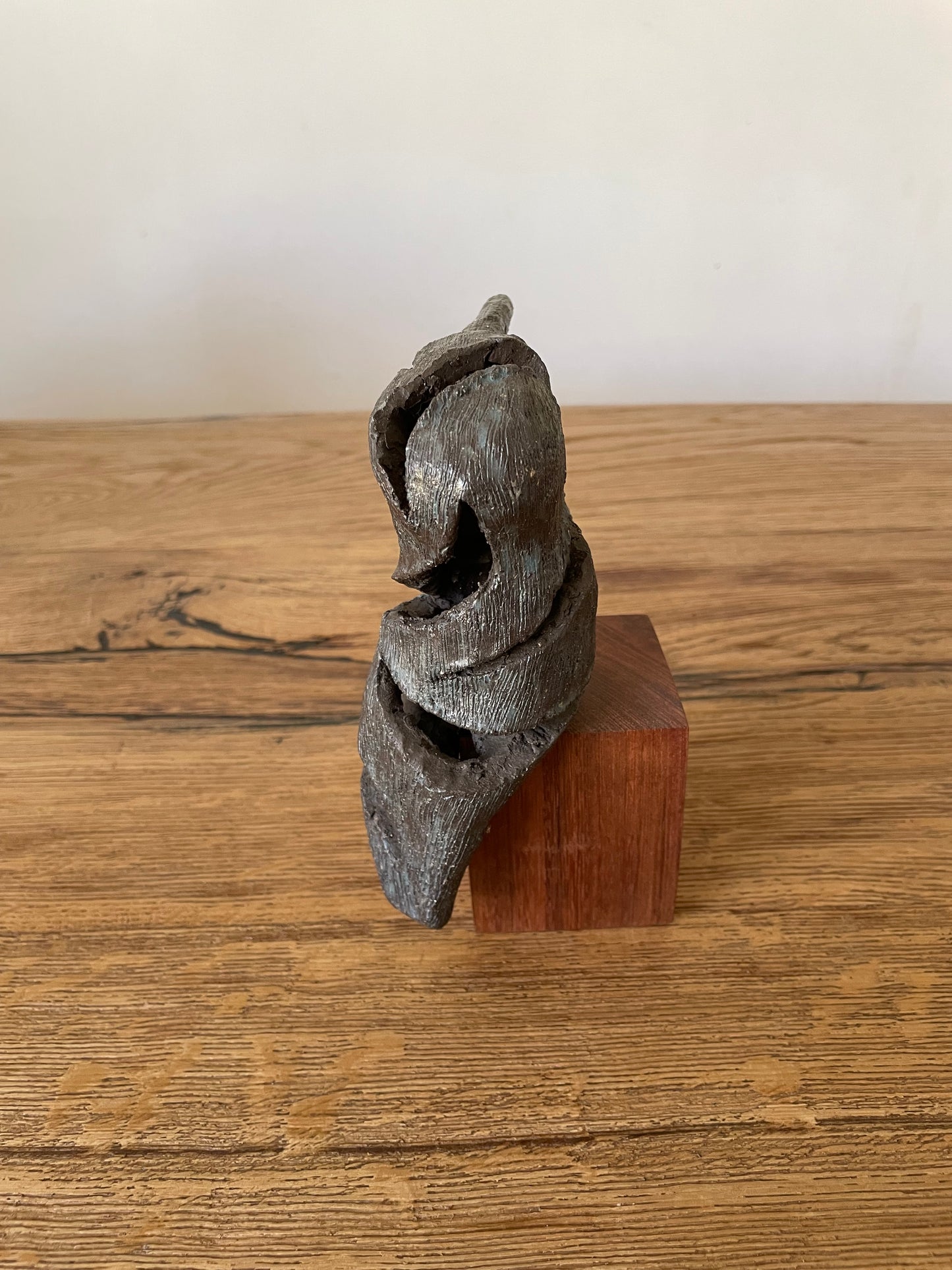 IJsvogel solo II