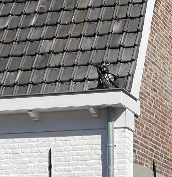 Uil van keramiek in rand van dak
