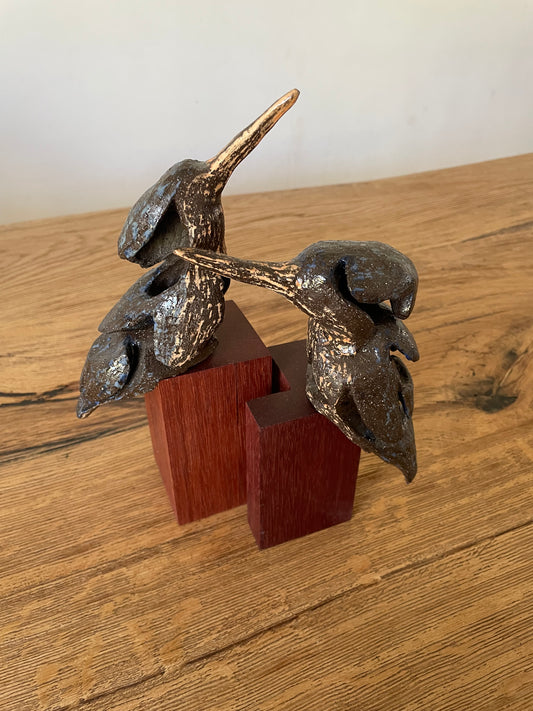 IJsvogel duo
