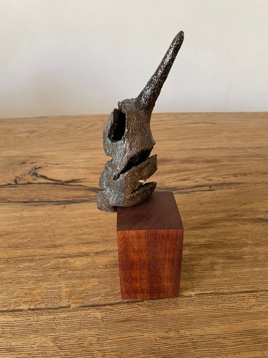 IJsvogel solo