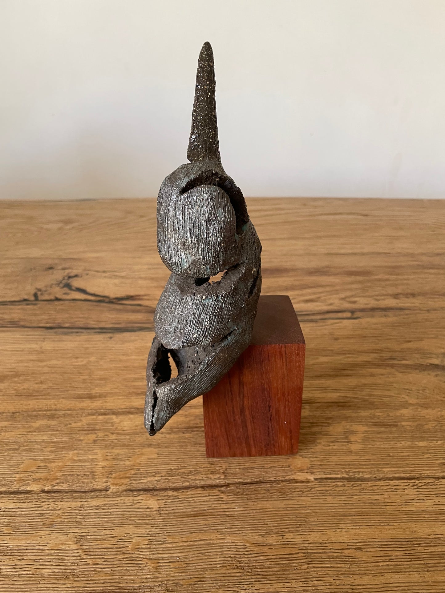 IJsvogel solo